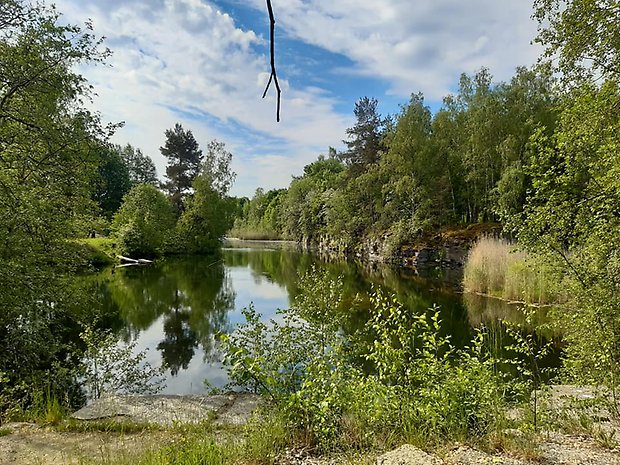 Lugnetbrottet sett från norra sidan. Foto: Per Karlsson Linderum.