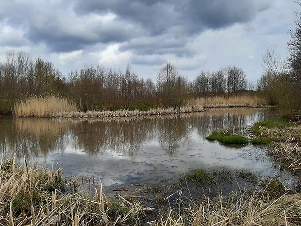 Kumlabydammen i början av maj. Foto: Per Karlsson Linderum.