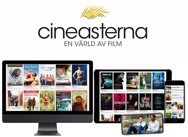 Bild på hemsidan Cineasterna