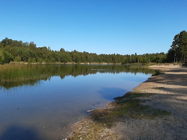 Säbylundssjöns östra sida, kommunal mark. Foto: Per Karlsson Linderum.